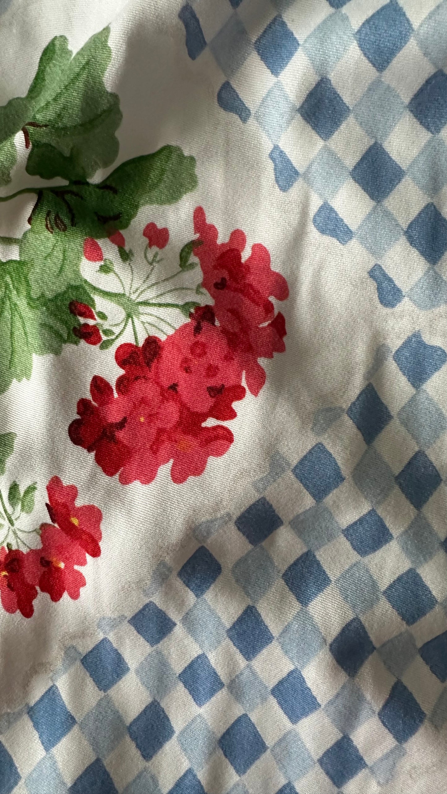 Nobody’s Child light blue white gingham check red floral midi long dress small UK 10 vgc